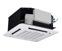 DM-PAC036Q4/AF, DANTEX